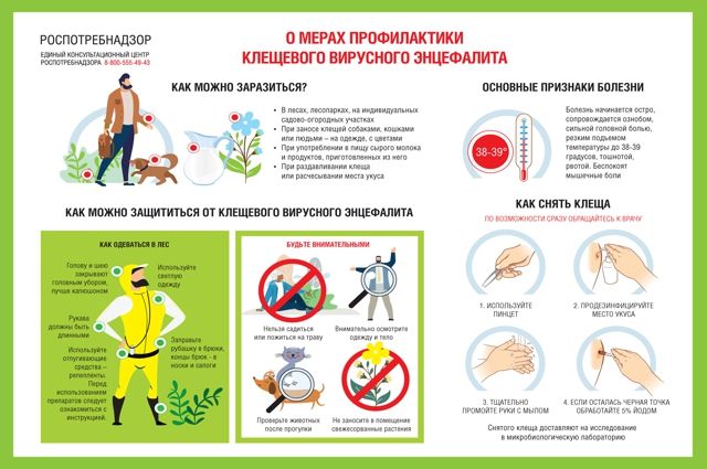 Порядок действий в случае обращения за медицинской помощью пострадавших от присасывания клещей 